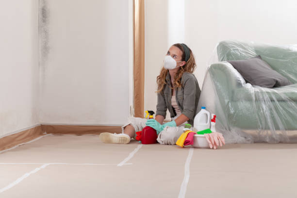 Reliable Hvac And Air Duct Mold Remediation contractor in Wellington, TX by Mold Remediation HQ